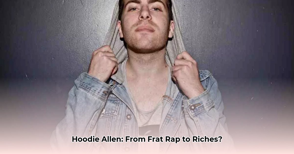 hoodie-allen-net-worth